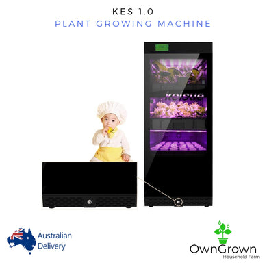 KES 1.0. Plant Growing Machine