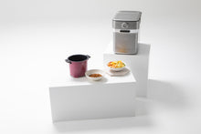 Load image into Gallery viewer, PCS 400. 2L Smart Cara food waste recycling composter for your home. Silver.