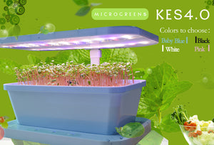 KES 4.0 MicroGreens Farm