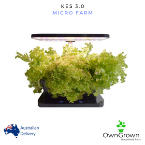 KES 3.0. Micro Farm.